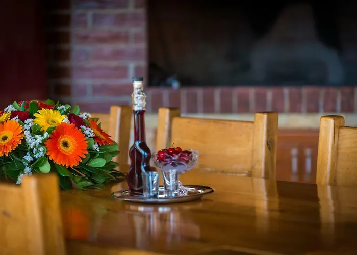 公寓 Elena 3 察夫塔特